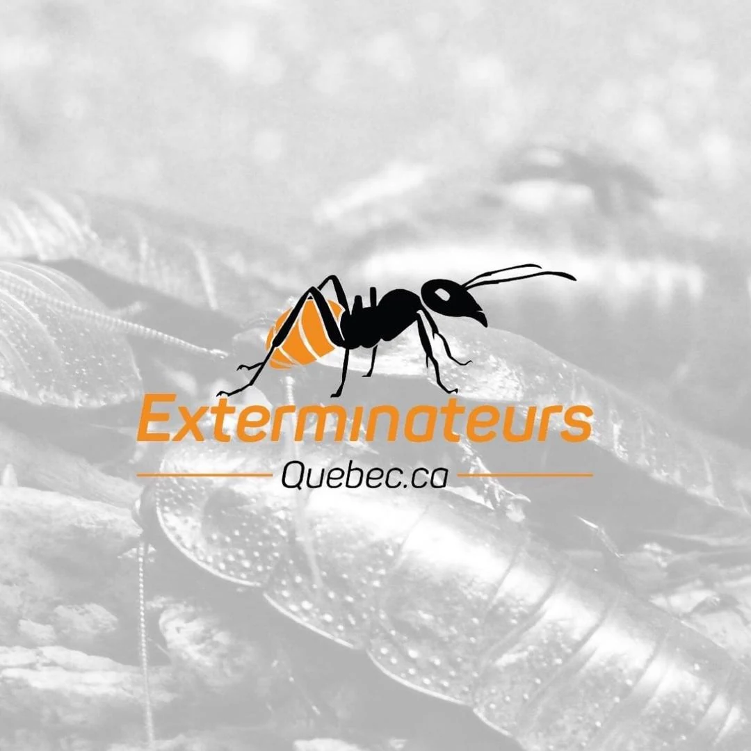 Eradik.ca