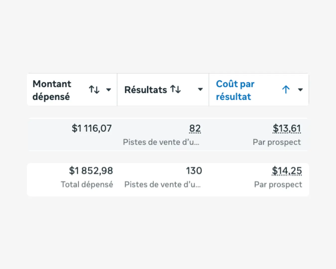 Capture du compte publicitaire Prince Studio : 1 852,98 $ dépensés, 130 prospects, 14,25 $ par prospect